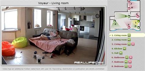 live voyeurcams|Reallifecam